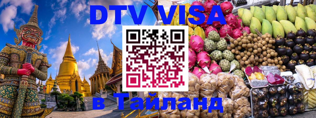 Оформление DTV визы под ключ: стоимость и тарифы, только загранпаспорт - 